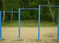 В Ростовской области 11-летний мальчик умер после падения на него турника