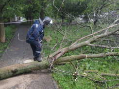 В Ростовской области продлили штормовое предупреждение из-за ливней до 1 июня