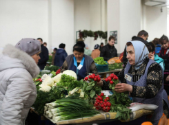 Огромная парковка и рыбный павильон обеспечат процветание Центрального рынка Ростова