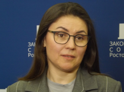 Зампред ЗСРО Мананкина посчитала, что ростовчане не станут патриотами, если им поднять уровень жизни