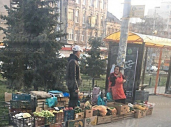 Устроившие вокруг себя помойку уличные продавцы привели в бешенство жительницу Ростова