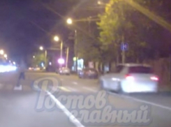 Жестокий наезд автомобилиста на перебегавшую «по всем правилам» дорогу в Ростове собаку попал на видео