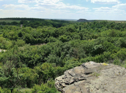 Ликвидировать сразу восемь памятников природы попытались под Ростовом