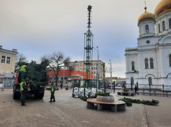 На Соборной площади в Ростове начали собирать елку