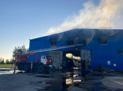 Два ангара с луком сгорели в Азовском районе