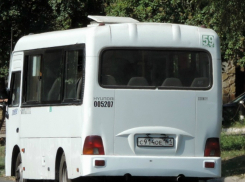 Транспортный департамент упраздняет маршрутное такси №59 в Ростове
