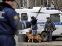 В спортивную школу в Ростовской области подбросили муляж взрывного устройства