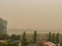 Климатолог Иошпа заявил о росте цикличности пыльных бурь в Ростовской области