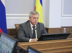 Малоимущие жители Ростовской области получат от губернатора более 56,2 млн рублей