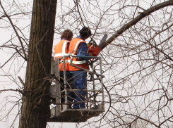 10 улиц Ростова временно останутся без света