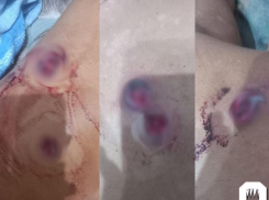 Следком забрал у полиции дело о нападении на участника СВО в Батайске