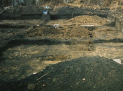 Уникальная находка архелогов в Ростовской области может изменить историческую науку