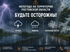 На Ростовскую область надвигаются ливни, грозы и шквалистый ветер до 25 м/с