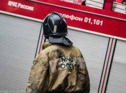 Пожарные спасли из огня двух школьников в Ростовской области