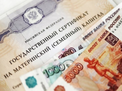 Обманувшая пенсионный фонд жительница Ростовской области не выдала своих перепуганных подельников 
