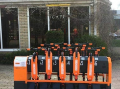 В Ростове запустят систему проката самокатов