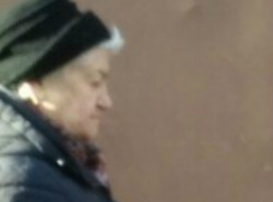 Паразитирующую в чужих дворах Старуху Шапокляк сфотографировали ростовчане