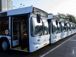 Суд оштрафовал «Янтарь 1» на 475 тысяч рублей по иску департамента транспорта Ростова