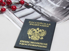 «Нет прощения подлецам», - ростовские коммунисты зазывают на митинг против пенсионного возраста