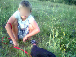 8-летний школьник соблазнил 6-летних мальчиков из Ростовской области
