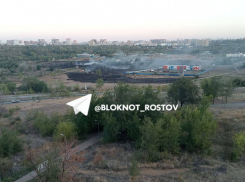 МЧС опровергли информацию о пожаре на Северном кладбище в Ростове