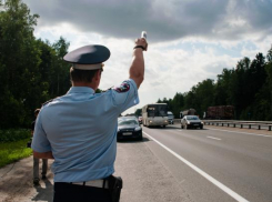 Работу сотрудников ДПС и качество донских дорог оценили сами водители
