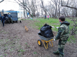 Свыше 65 тонн мусора вывезли регоператоры после трёх дней субботников