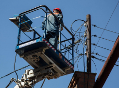 Хитрые любители комбикорма похитили электроэнергии на несколько миллионов рублей в Ростове