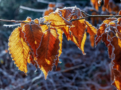 Первые заморозки: прогноз погоды в Ростове на 31 октября