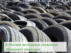 В Ростове автосервис незаконно сбрасывал покрышки рядом с парком Чуковского