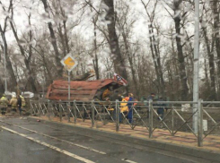 Ужасную гибель двух человек в КамАЗе под упавшим деревом в Ростове сняли на видео