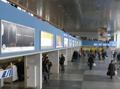  В Ростовском аэропорту пресекли провоз подкарантинного риса и изюма