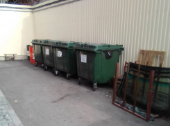 Предприниматели с ТЦ «Рубин» устранили нарушения по вывозу мусора 