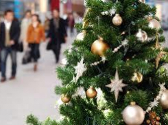 Две новогодние елки обойдутся ростовчанам в 5 млн рублей