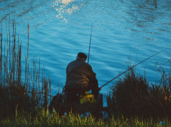 В Ростовской области ввели временный запрет на вылов рыбы 
