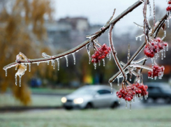 Лютые заморозки заставят ежиться от холода жителей Ростовской области 