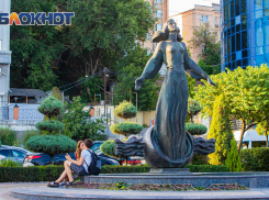 На Дону объявили экстренное предупреждение из-за сильной жары до +40 градусов