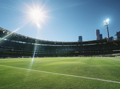 УФАС приостановила аукцион по футбольному стадиону за 89,9 млн рублей