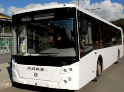 Удмуртское ПАТП «отвоевало» у ростовских перевозчиков 11 популярных автобусных маршрутов
