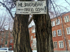 Автохамы вынудили жителей Ростова показать «последнее китайское предупреждение»