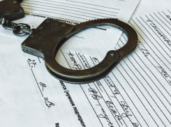 Экс-сотрудницу налоговой инспекции осудили за мошенничество в Ростове 