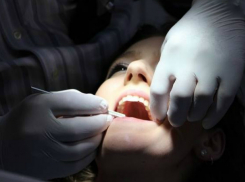 Опасными инструментами лечили пациентов стоматологи без образования в частной клинике Ростова