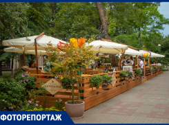 Обед на свежем воздухе: в Ростове заработали летние кафе и веранды