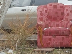 Рокировка: ростовчане перед Новым годом стали выбрасывать старые засохшие елки