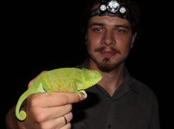 Ростовского зоолога, задержанного на Шри-Ланке, выписали из больницы из-за отсутствия денег