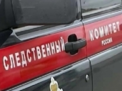 Двое малышей умерли, задохнувшись от жары в раскаленной машине в Ростове
