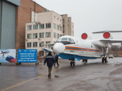 В Таганроге осудили экс-директора завода имени Бериева
