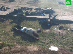 Среди погибших на полигоне в Белгороде был житель Ростовской области