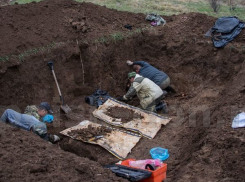 11 погибших в боях с фашистами моряков нашли поисковики в Ростовской области