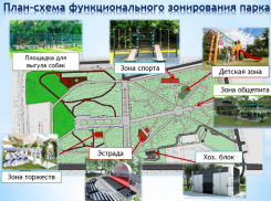 Оставить деревья и благоустроить парк им. Собино мечтают власти Ростова